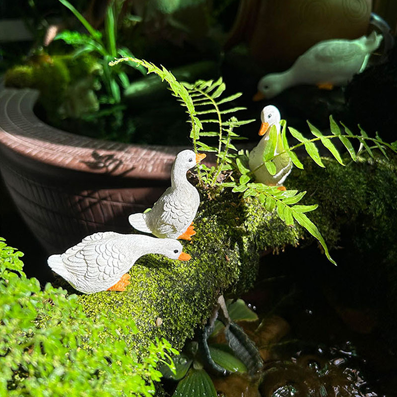 3pcs Cute White Duck Hydroponi - Home Decor Duck review and price