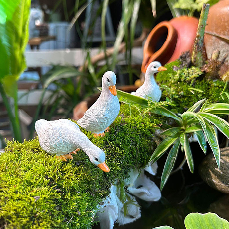 3pcs Cute White Duck Hydroponi - Home Decor Duck review and price