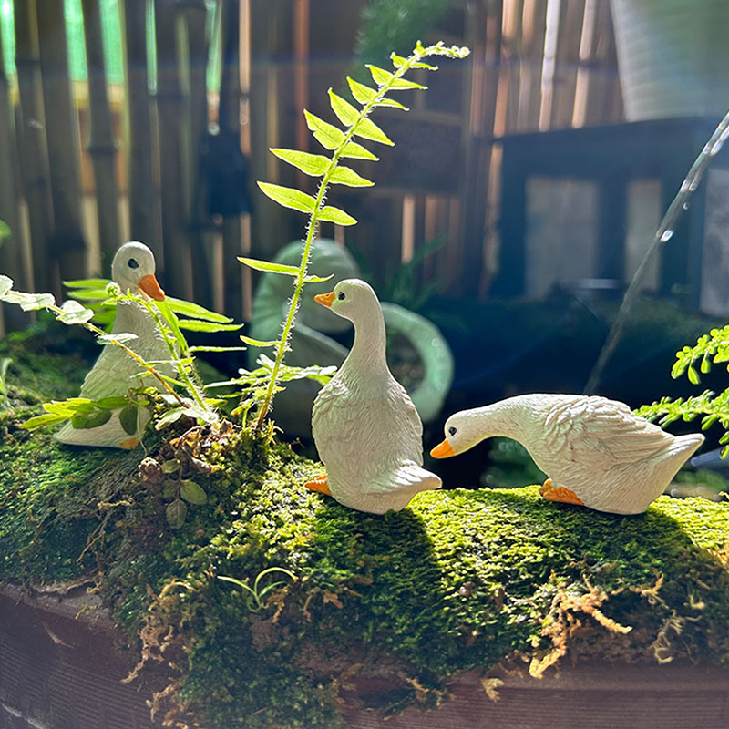 3pcs Cute White Duck Hydroponi - Home Decor Duck review and price