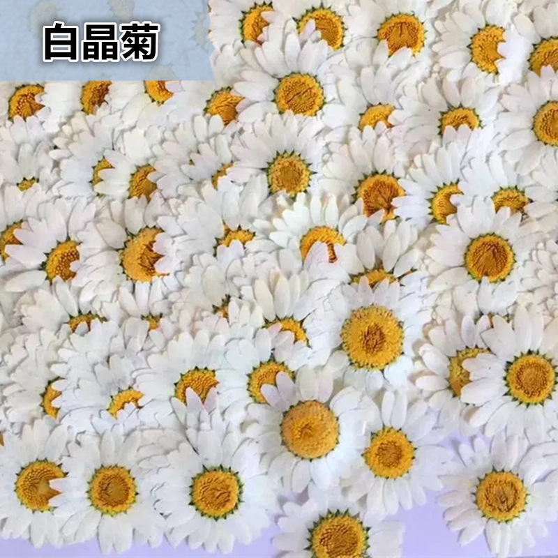 100Pcs Natural White Crystal C - Home Decor Daisy review and price