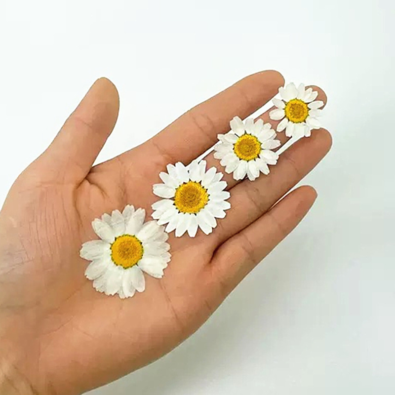100Pcs Natural White Crystal C - Home Decor Daisy review and price