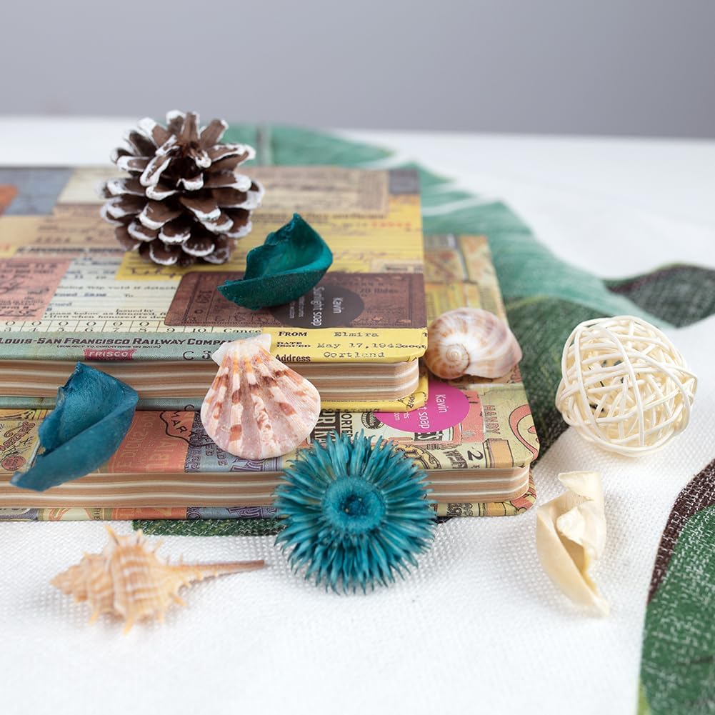 Ocean Breeze Scented Seashell  - Home Decor Vase With Flowers review and price