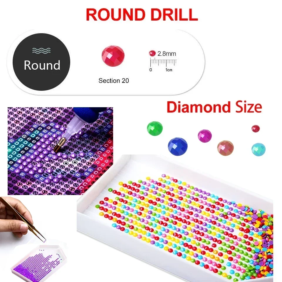 Solo Leveling Anime Full Round - Home Decor Solo review and price
