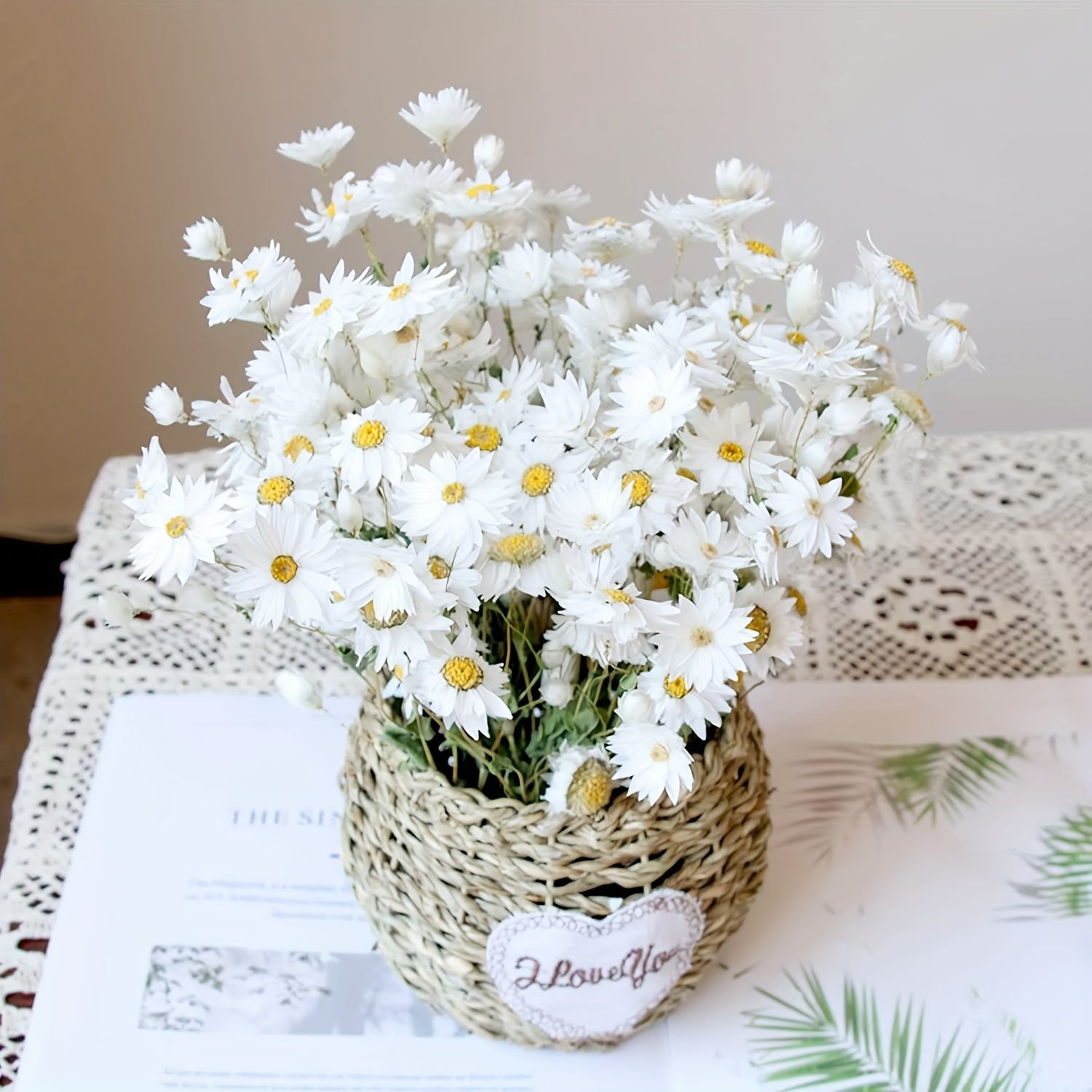 Rhodanthe & Daisy Dried Flower - Home Decor Daisy review and price