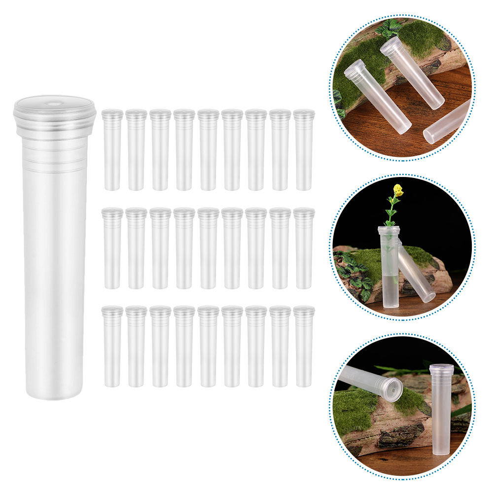 100Pcs Transparent Hydroponic  - Home Decor Vase With Flowers review and price