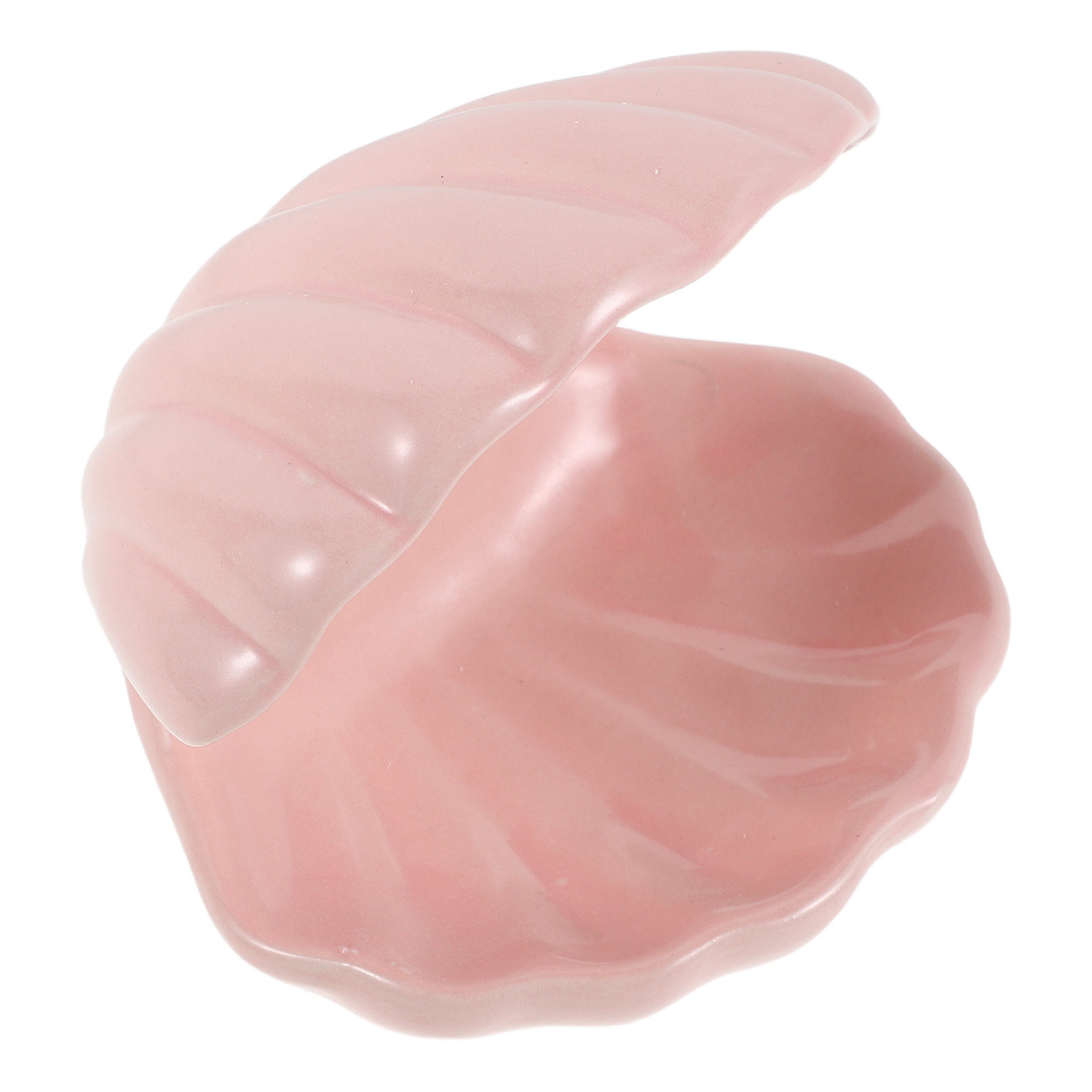 Premium Ceramic Shell Jewelry  - Ceramic Trinket Dish review and price