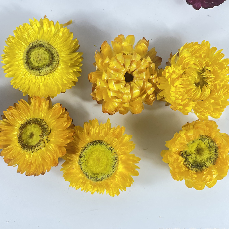 500g 1000g Dried Daisy Natural - Home Decor Daisy review and price
